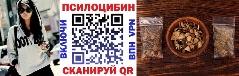 где можно купить наркотик  Елизаветинская  Псилоцибиновые грибы MAGIC MUSHROOMS 