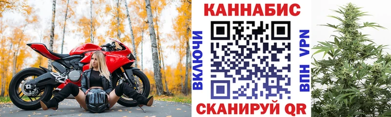 Бошки Шишки план  Елизаветинская 
